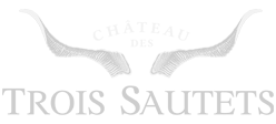 Château des Trois Sautets
