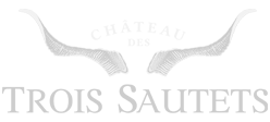 LOGO TROIS SAUTETS