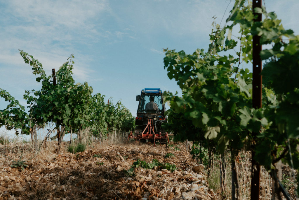 Découvrez l'histoire de notre vignoble à Meyreuil aux portes d'Aix en Provence