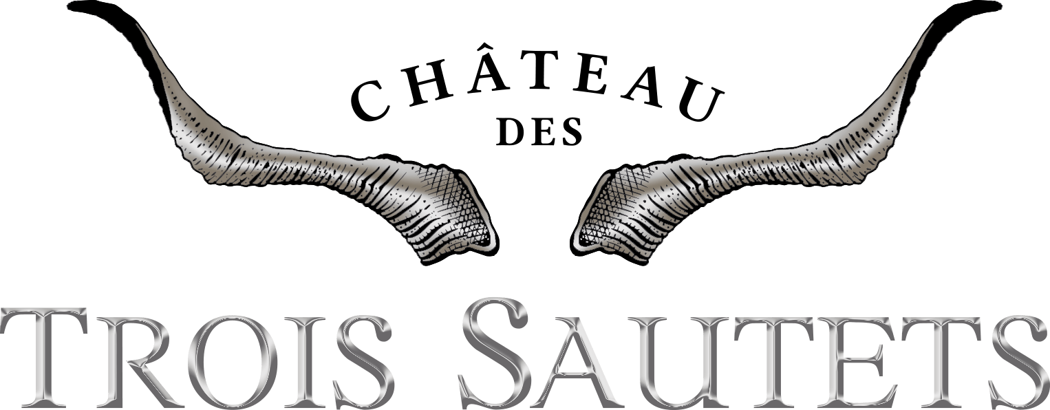 LOGO DU DOMAINE DES TROIS SAUTETS A AIX EN PROVENCE