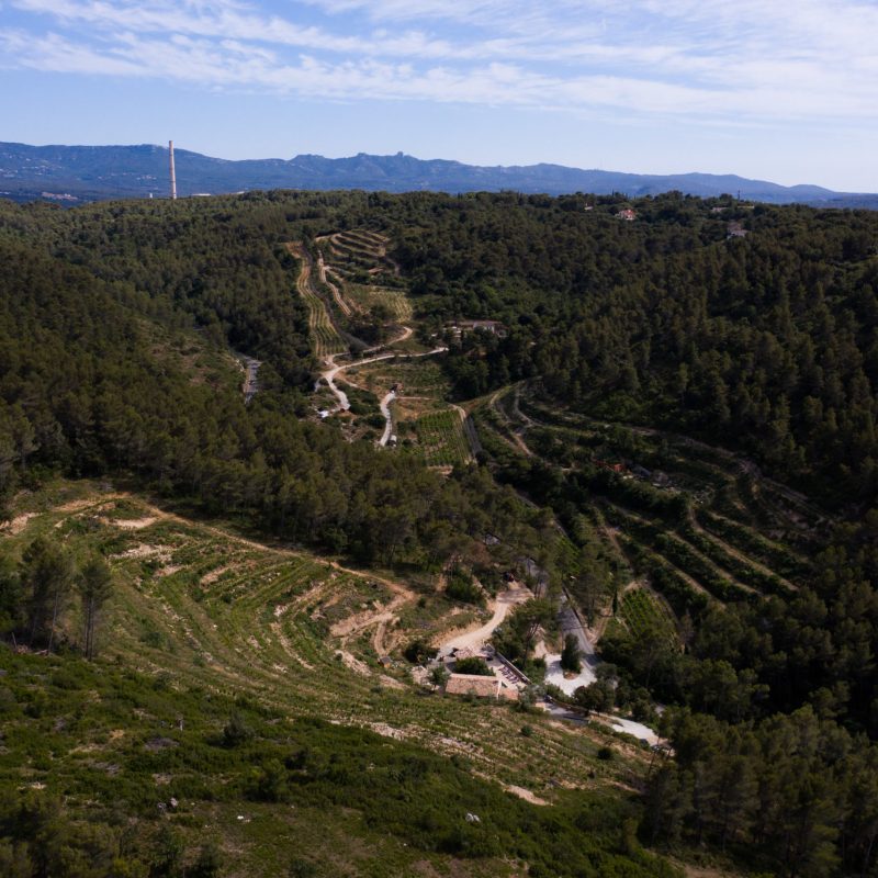 Découvrez le renouveau viticole à Aix-en-Provence à travers nos vins, une expression moderne ancrée dans la tradition.