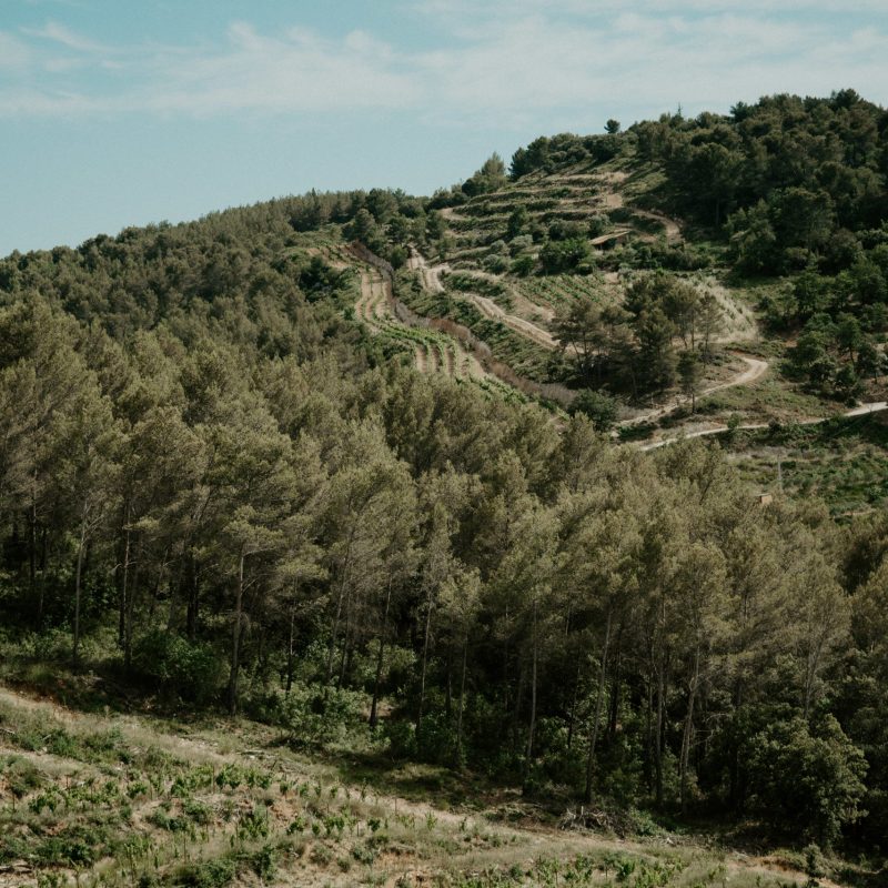 Venez découvrir l'histoire du domaine situé à Aix en Provence