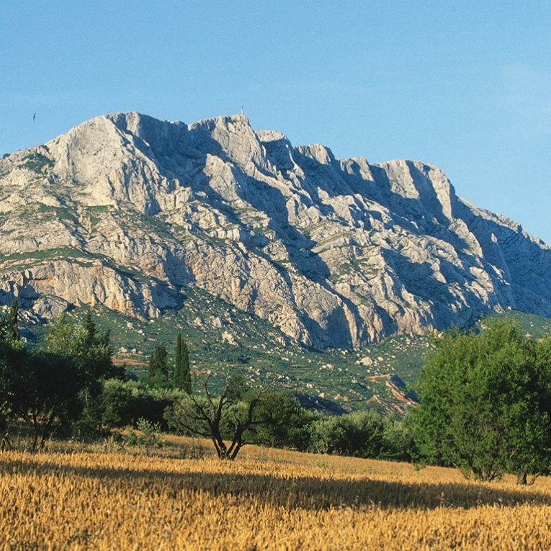 Venez déguster des vins en AOP Palette face à la sainte Victoire à Aix en Provence